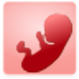 Âge gestationnel icon