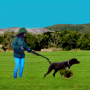 La chaceuse icon