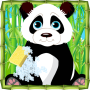 Panda Animal Care Games