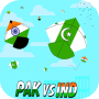 India Vs Pakistan Basant Festival 2020