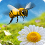 Honey Bee Hive Simulator 2016