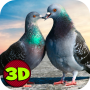 Flying Bird Pigeon Simulator