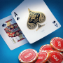 Blackjack 21: Blackjackist icon