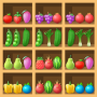 Fruit Sort Puzzle icon