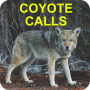 Coyote Calls for Hunting