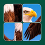 Cardscapes™: Jigsaw Puzzle icon