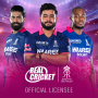 Real Cricket™ icon