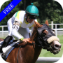 Steeplechase Horse Racing