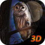 Owl Bird Survival Simulator 3D