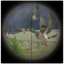 Jungle Birds Sniper Hunting