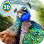Pavão Simulador 3D icon