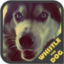 Treinador do apito do cão icon