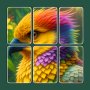 Jigsaw Solitaire: Slide Puzzle icon