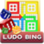 Ludo Bing