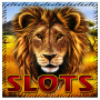 Safari - emplacement icon