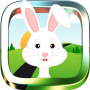 Bunny Run - Runner Game