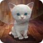 Live Kitten Tom Survival AR 3D