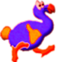 DODO Run