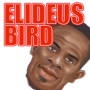 Elideus Bird