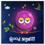 Bonne nuit icon