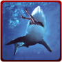 Angry Shark Revenge Attack 3D