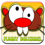 funny squirre