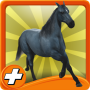 Histoire de la vie de cheval libre icon