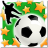icon NSS 4.29