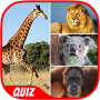 Animal Quiz