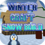 Winter craft snow build