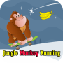 Jungle Monkey Running