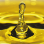 Guide dhuile dolive extra vierge icon