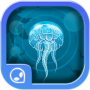 Follow The Jellyfish!