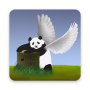 Flying Panda Pro