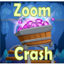 Zoom Crash