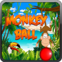 Monkey Ball