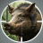 icon Animal Hunter: Wild Shooting 4.7.2