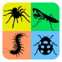 Ciclo de vida de insetos grátis icon