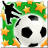 icon NSS 4.21