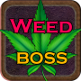 Weed Boss - Run A Ganja Farm & Be Firm Tycoon Inc