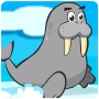 Walrus Runner