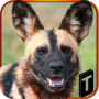 Wild Dog Simulator 3D