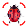 Identificador de insetos - identidade icon