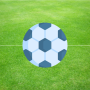 Football Puzzles: Football Games icon