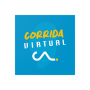 Corrida Virtual Caja Los Andes