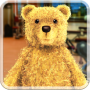 Urso de boxe falando icon