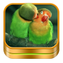 Sonneries doiseaux et fonds décran icon