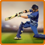 CricAstics 3D багатокористувацька гра з крикету icon
