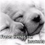 Frases de concursos com imagens icon