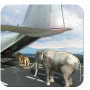 Avião de carga de transporte animal icon